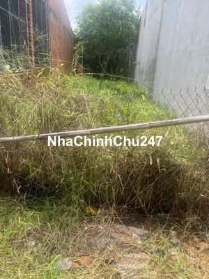 Đất Chính chủ Hòa Bình 4 - Trảng Bàng