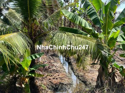 chính chủ gửi Dt (20x90 ) gia 14 ty 4 còn thương lượng