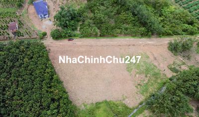 Chính chủ bán lô cặp hông uỷ ban xã Tân Lợi 1000m2 có 100m2 thổ cư