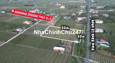 Chính Chủ Bán 300tr 1000m2 đất Ruộng Ạ Có 4000m Long An LH Em Ạ Phi N