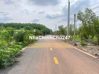 CHỦ CẦN BÁN LÔ ĐẤT MẶT ĐƯỜNG NHỰA 250M GIÁ NGỘP