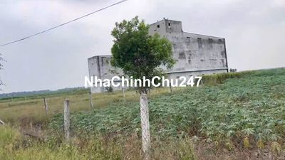 Chính chủ cần bán hơn 1ha đất NN xây nhà yến đẹp Tây Ninh giá rẻ