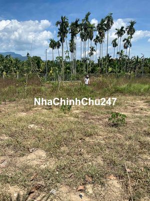 Cần bán nhanh lô đất chính chủ thổ cư nở hậu ở Hành Thuận