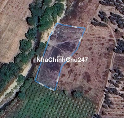 mình chính chủ bán đất CLN tại Hàm Cần HTN Bình Thuận