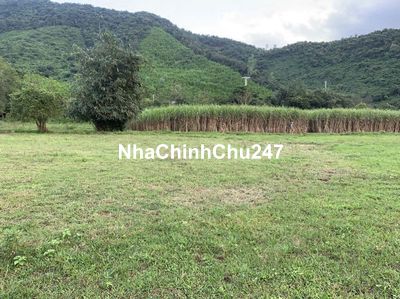 [CHÍNH CHỦ] Bán đất trồng cây view suối thôn An Định , xã Hòa Bắc