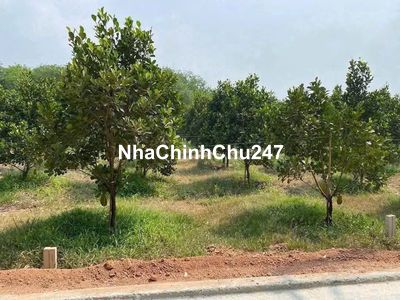 CHỦ GỬI BÁN GẤP LÔ ĐẤT 600M2, MT ĐƯỜNG HUYỆN 507, SỔ RIÊNG GIÁ 580TR