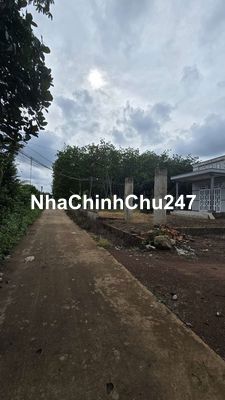 Đất giá tốt, chủ kẹt nợ, nên tách bán 1 phần đất