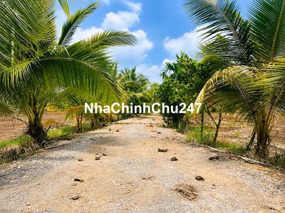 Bán đất chính chủ 10x30 full thổ cư Hựu Thạnh, Đức Hòa
