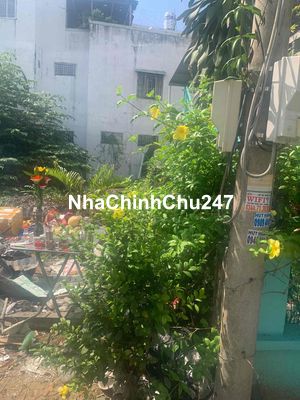 Bán đất chính chủ