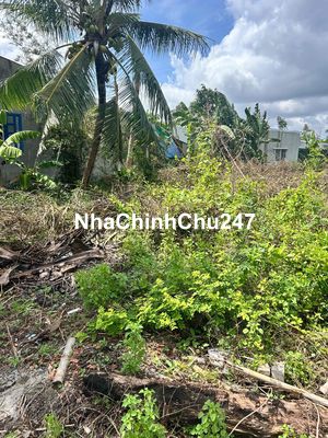 Cần bán đất chính chủ Xã Phước Lâm, H. Cần Giuộc, Long An