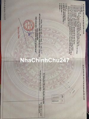 CHỦ NGỘP CẦN BÁN GẤP LÔ ĐẤT NGAY TĐC PHƯỚC HẢI VỚI GIÁ SIÊU TỐT