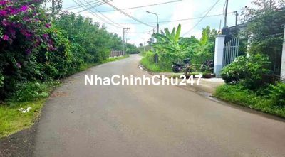 CHỦ VƯỜN GỬI BÁN DÙM