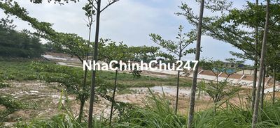 Chính chủ bán lô đất tại thôn Mít Mái, Yên Bài, Ba Vì