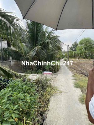 Đất lúa_ Chính chủ