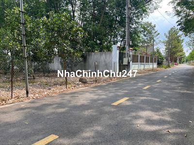 CHỦ NGỘP BÁN VƯỜN MÍT 5X50=250M2, SHR, THỔ CƯ, NGAY TTHC, GIÁ 420TR