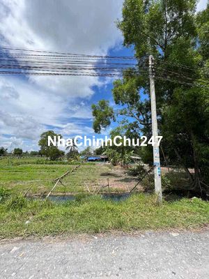 Chính chủ cần bán gấp lô đất Đức Hoà , full thổ cư, sổ hồng chính chủ