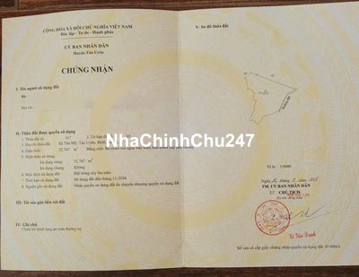 Chính chủ bán gần 6 mẫu đất trồng cây cao su 14 năm, đang thu hoạch