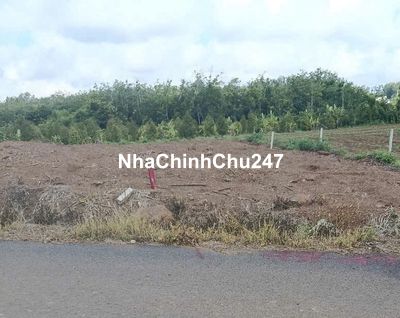 Chính chủ gửi bán lô đất sào