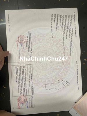 🔥 CHÍNH CHỦ CẦN BÁN ĐẤT THỔ CƯ & CÂY HẰNG NĂM - CHÂU THÀNH, LONG AN -