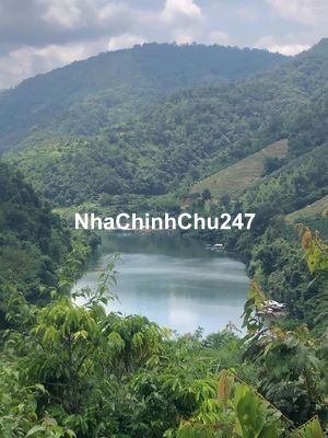 CHÍNH CHỦ CẦN BÁN GẤP 9,3 HA RẪY TÀ ĐÙNG