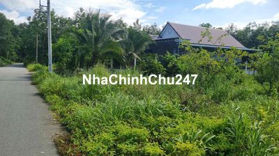 Chủ Cần Tiền Bán Gấp trả nợ