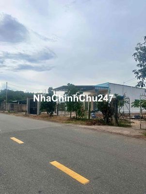 Cần Ra Đi Cứu Chủ