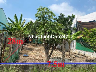 Chính chủ bán đất thổ cư 100% 212m2 Nhơn Thạnh Trung, TP Tân An