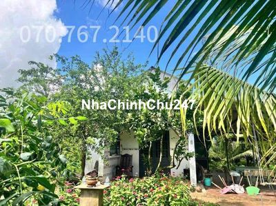 CHỦ KẸT TIỀN CẦN BÁN GẤP NHÀ VƯỜN