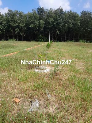 CHÍNH CHỦ BÁN ĐẤT SÁT KHU CÔNG NGHIỆP VSIP 2 MỞ RỘNG